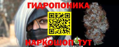 индика Краснокаменск