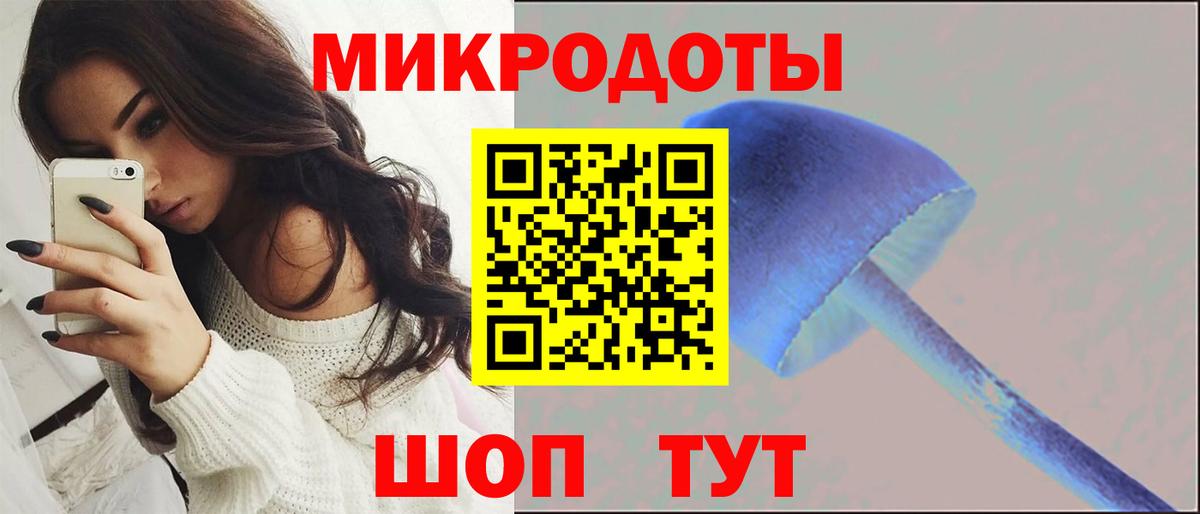 Псилоцибиновые грибы Cubensis  Вход с VPN  Кингисепп 